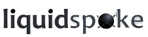 Liquidspot company logo in black text with a colorful dot replacing the letter O
